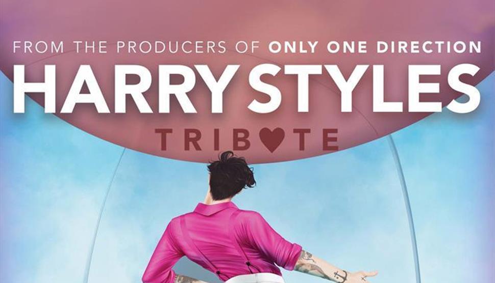 Harry Styles tribute