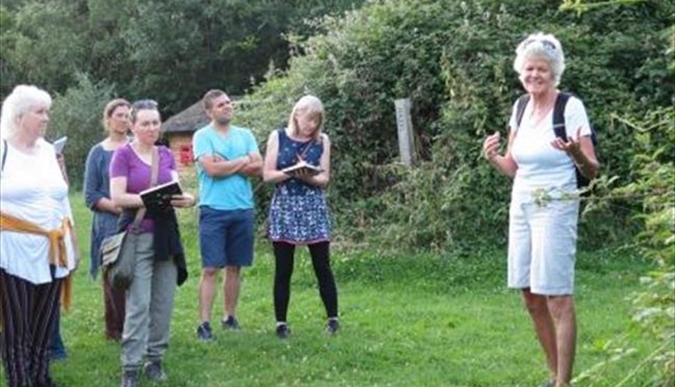 Free Talk: Celtic Herbs with Sarah Furey at Butser Ancient Farm
