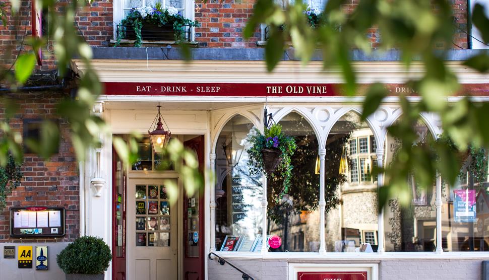 The Old Vine, Winchester