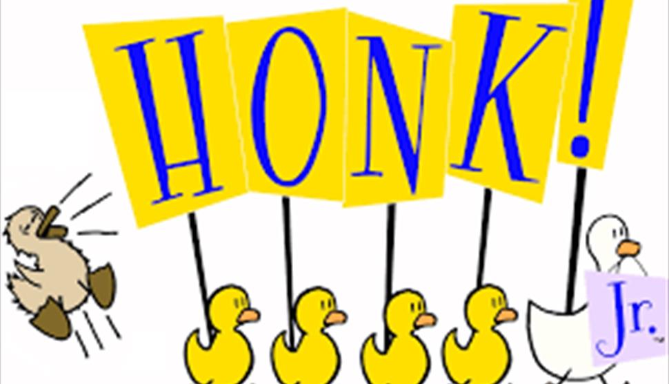 Honk Junior from Stagecoach Andover at The Lights Theatre