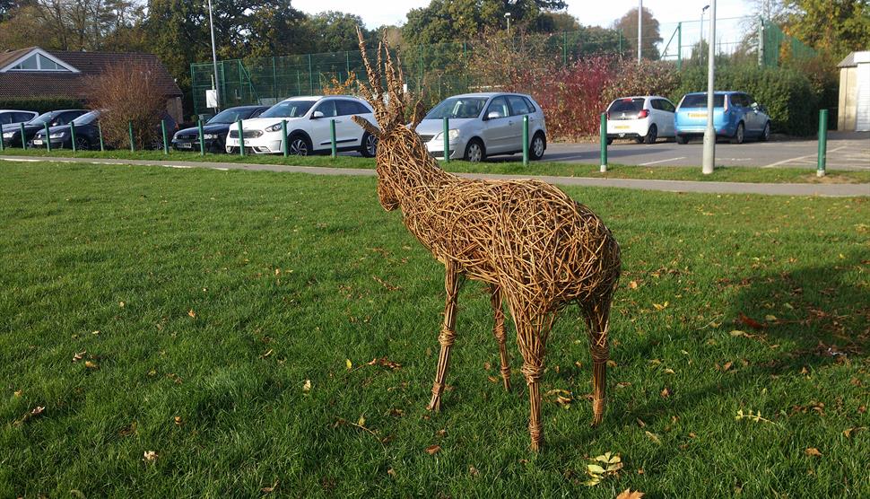 Willow Deer Sculpture Weekend 2-day course Chandlers Ford Community Assoication Hall
