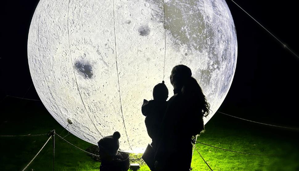 Museum by Moonlight: Penguin Light Trail