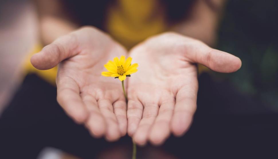 Yoga Day: Rest & Restore