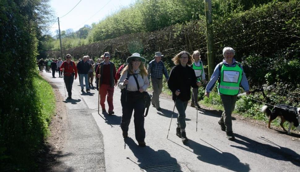 Gilbert White Walk 2017