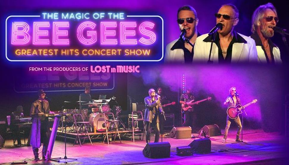 The Magic of the Bee Gees at Theatre Royal Winchester
