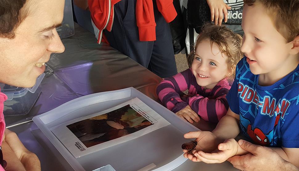 Mighty Minibeasts at Winchester Science Centre