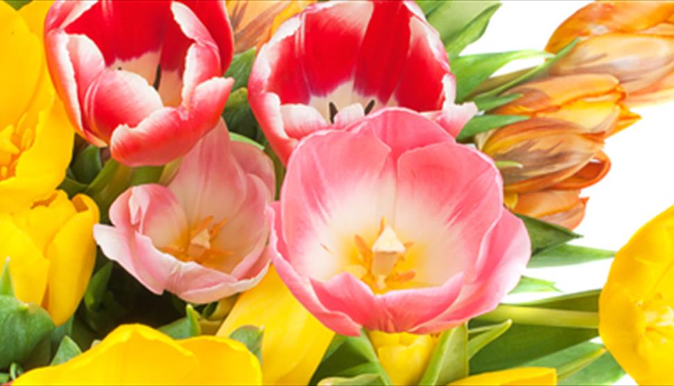Mothering Sunday Afternoon Tea at Winchester Cathedral
