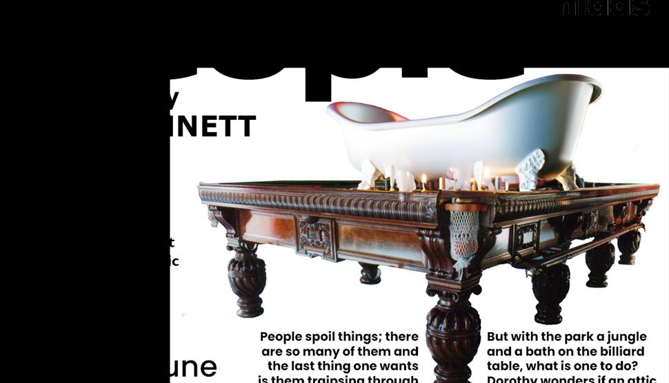 Poster for People - with a bath on a billiards table.