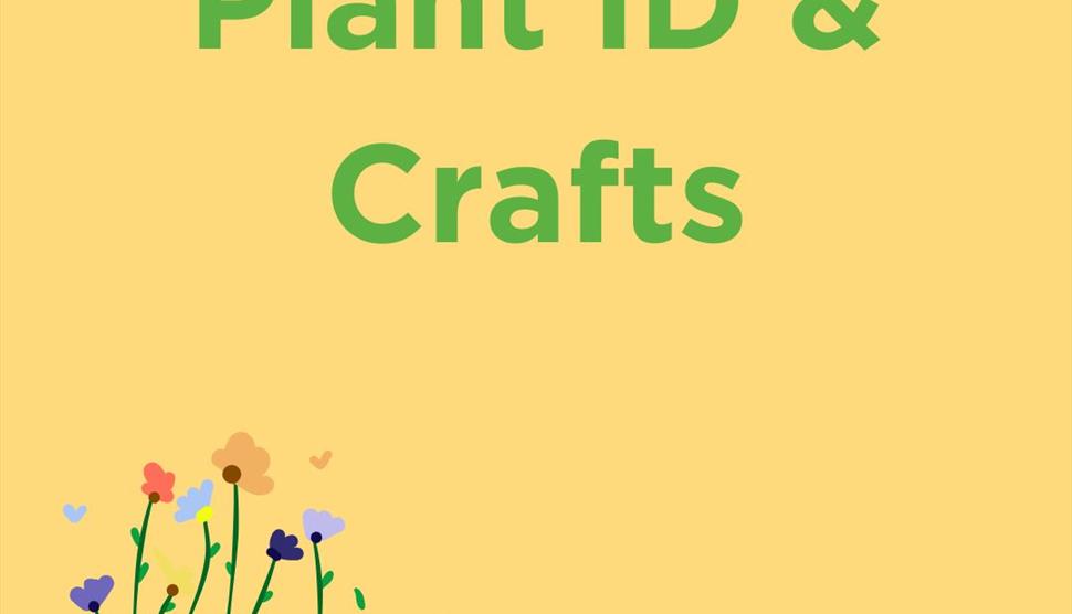 Plant Identification and Crafts at Lepe Country Park