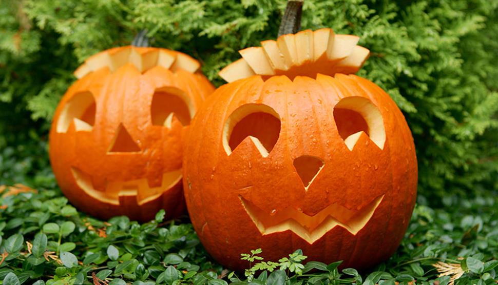 Pumpkin Carving at Exbury Gardens & Steam Railway