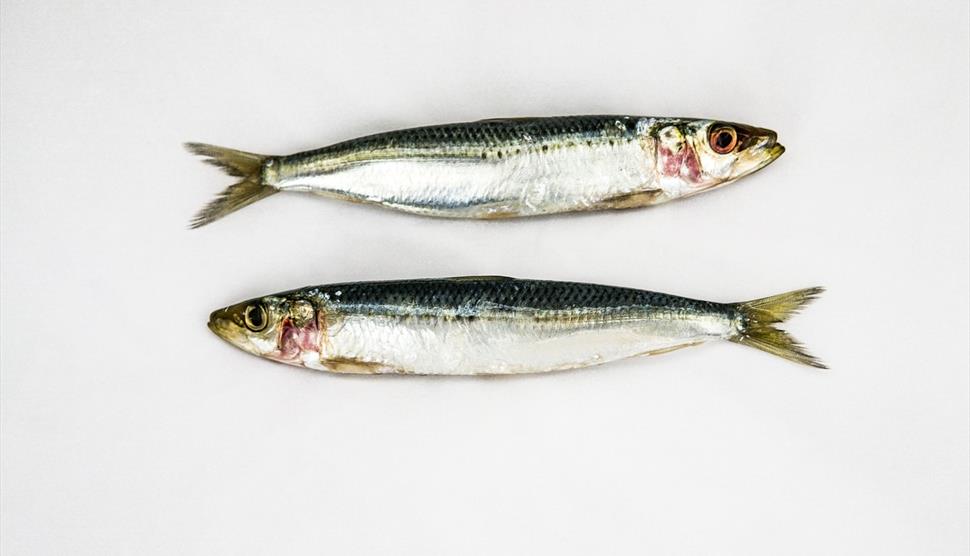 Fish and Seafood at Season Cookery School at Lainston House