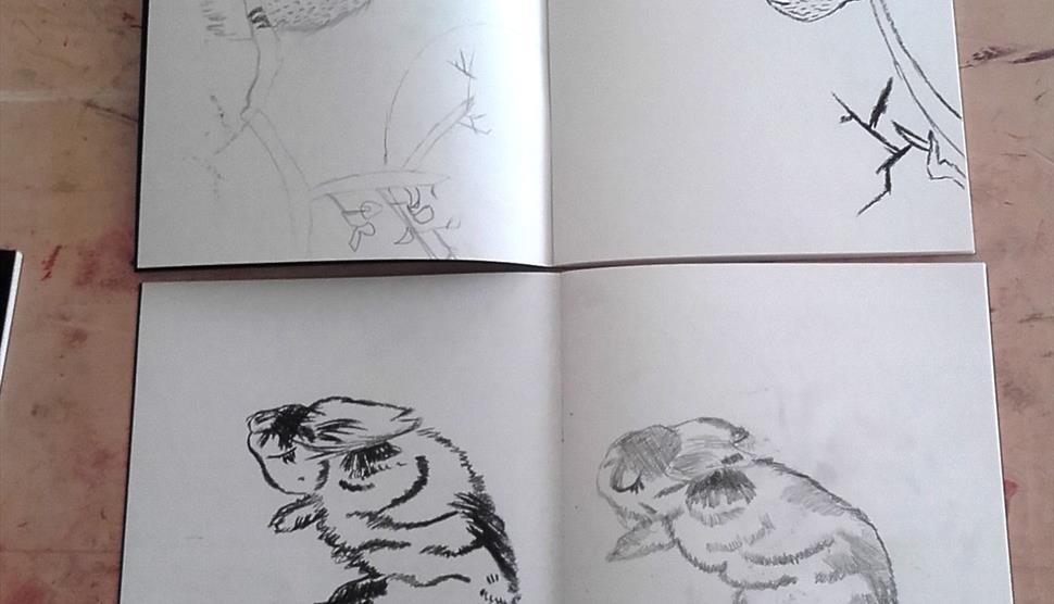 Animal Sketchbook