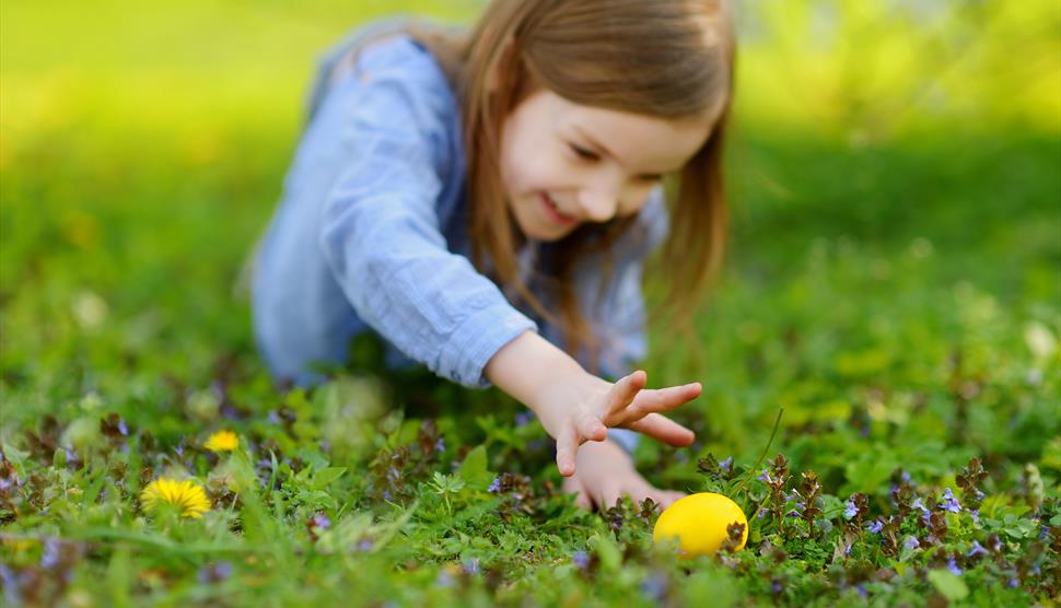 Find the Easter Eggs atRoyal Victoria Country Park