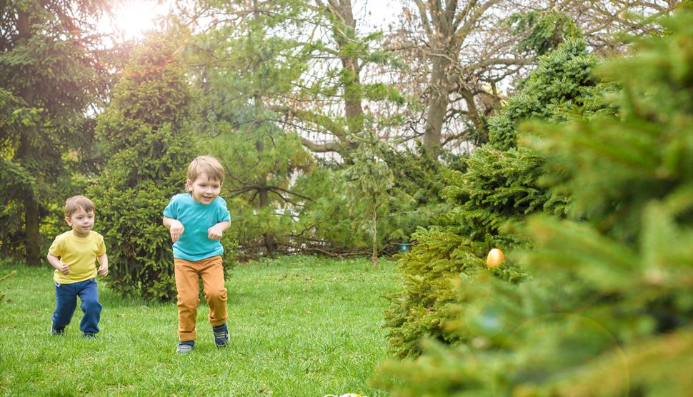 Easter Egg Hunt at River Hamble Country Park