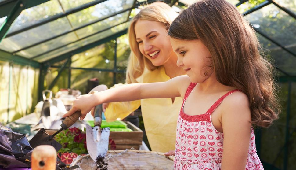 Family Workshop - Make a Hanging Basket at Exbury Gardens & Steam Railway