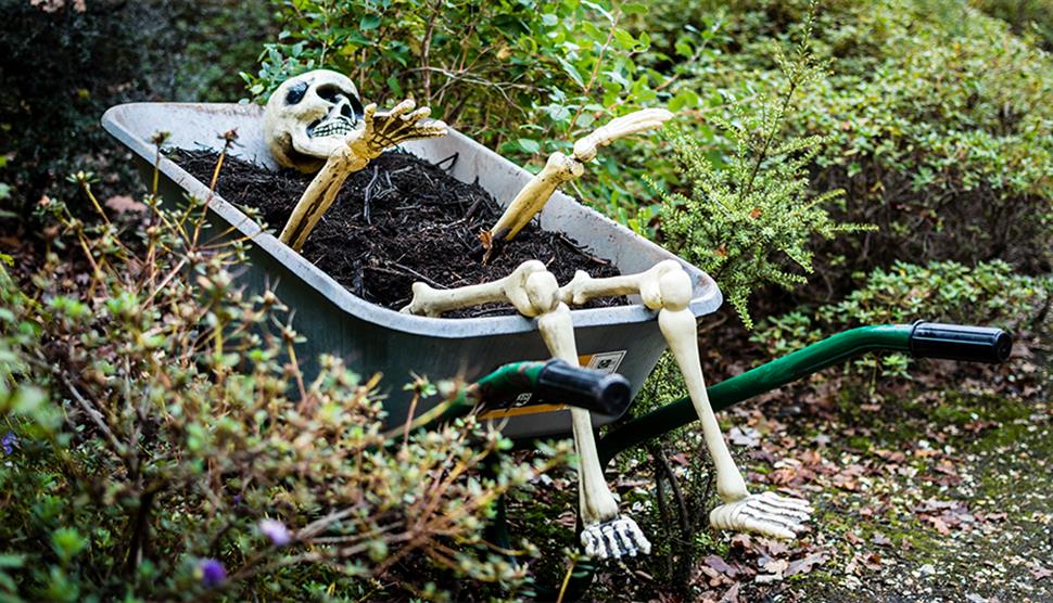 Spooky Skeleton Trail at Exbury Gardens