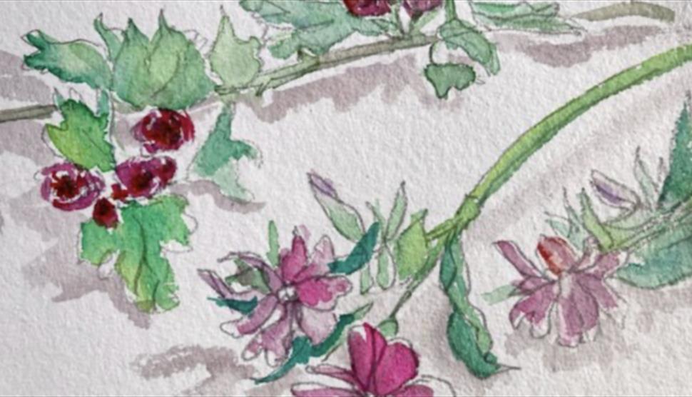 Sketch and Paint workshop