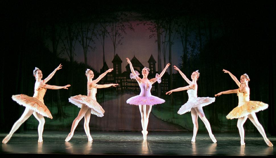 Vienna Festival Ballet presents Sleeping Beauty - Visit Hampshire