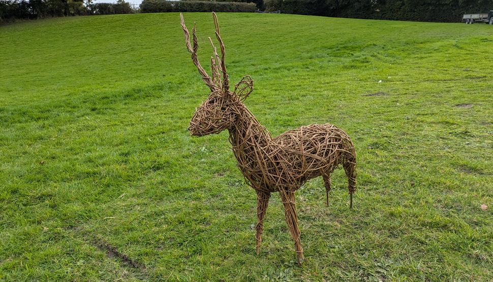 Small willow deer standing on grass