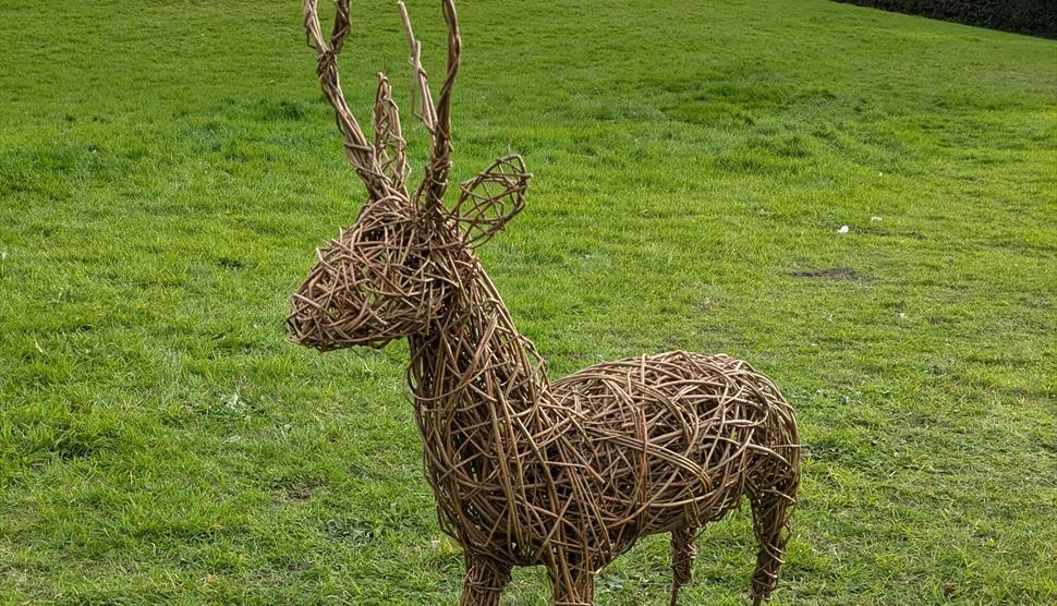 Willow deer - stag workshop in Portchester