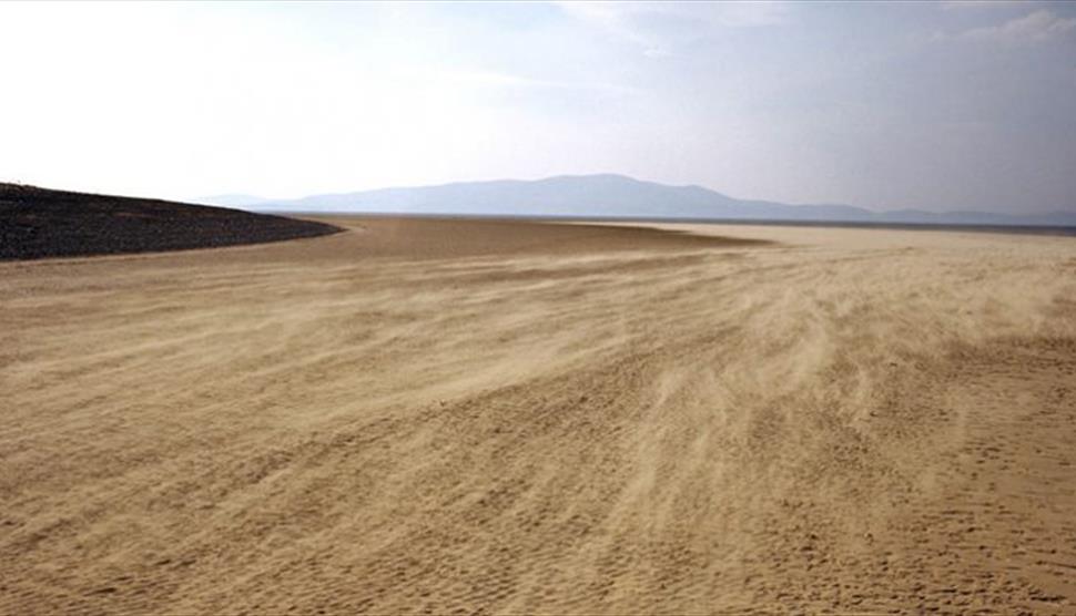 The Solway Firth 'A lifetime in conservation' at Gilbert White's House
