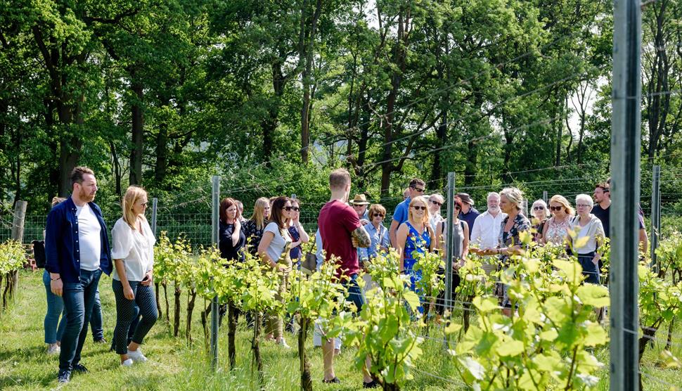 Wine, Beer and Gin Tasting Tours with Grape and Grain Tours
