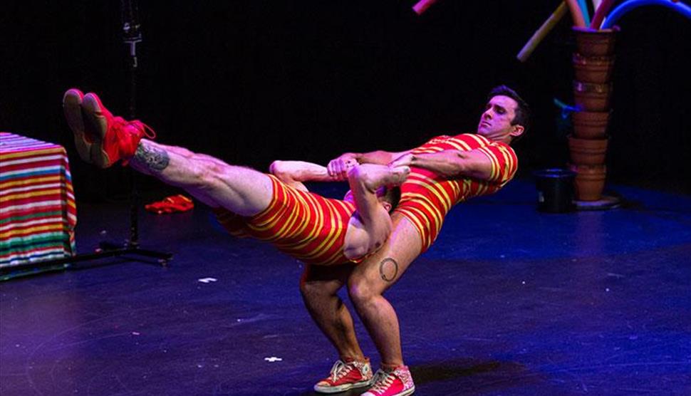 Splash Test Dummies at Theatre Royal Winchester