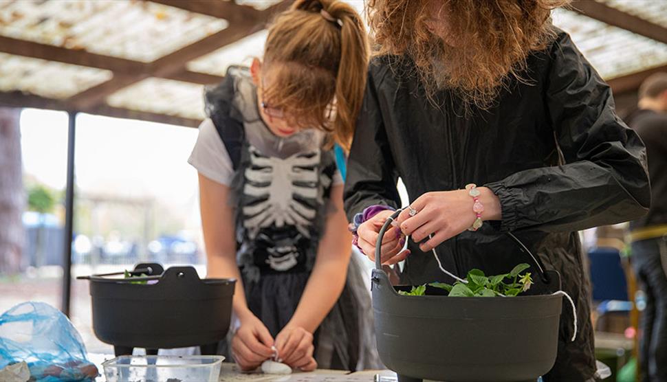 Make Your Own Spooky Garden