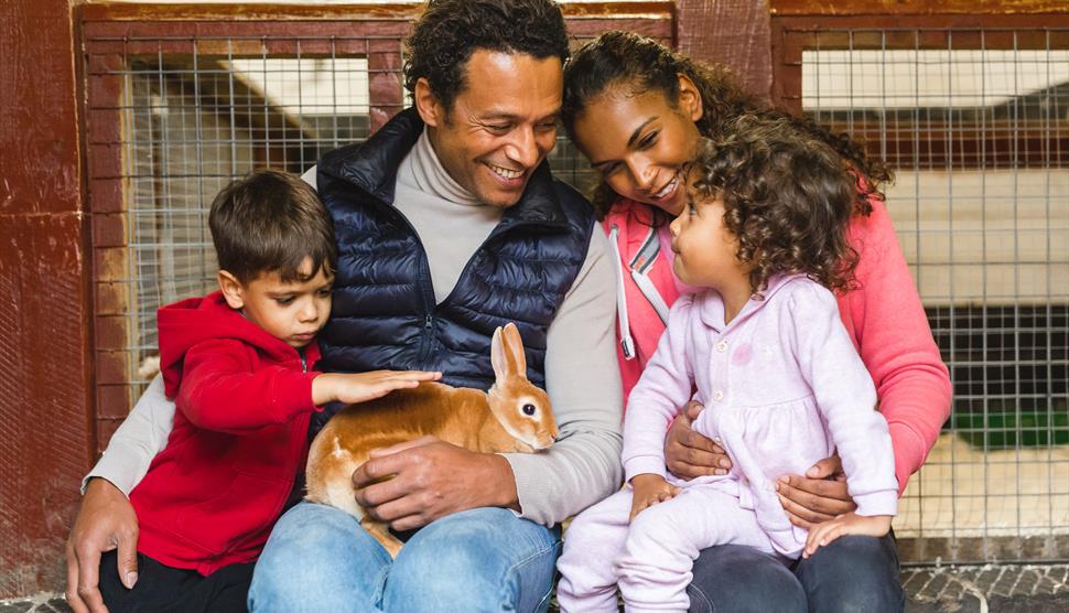 Have an Egg-cellent Easter at Staunton Country Park