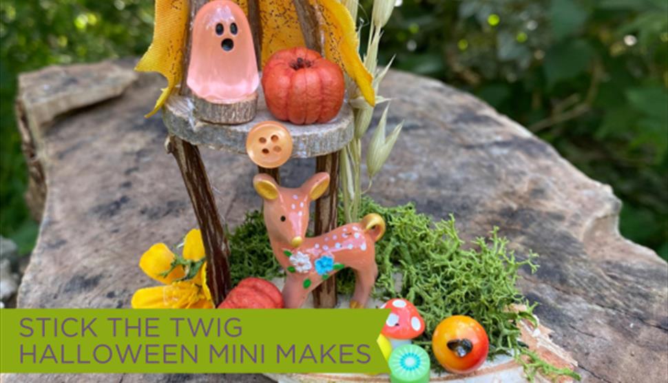 Image of miniature Halloween craft made from twigs, leaves and moss for Sky Park Farm's October half term halloween event.