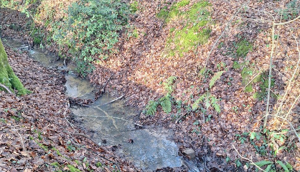 Hartford Stream in the sunshine