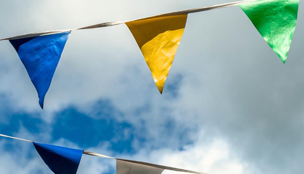 Bunting in the blue sky