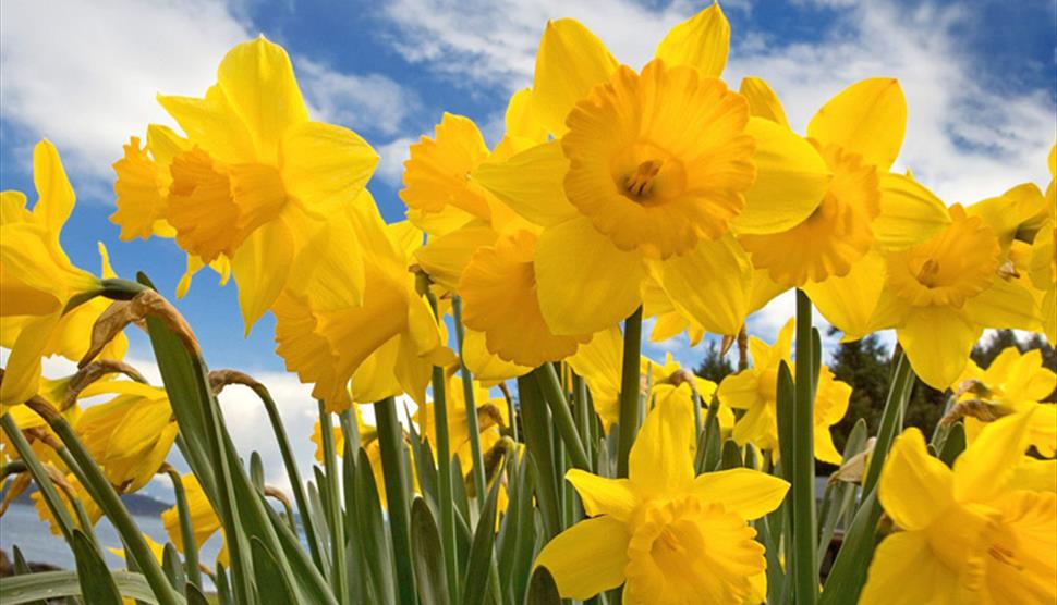 Mothering Sunday at Winchester Cathedral