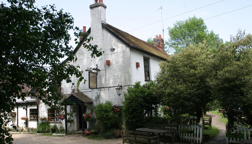 The Bush Inn