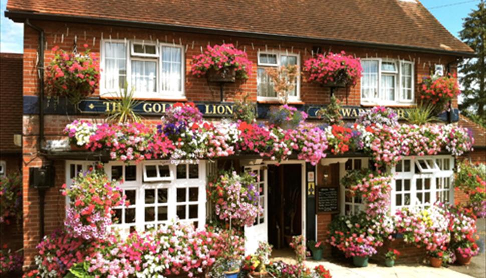 The Golden Lion Front Image