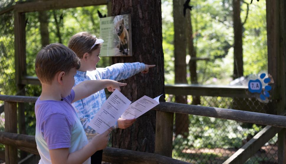 Easter Events at New Forest Wildlife Park