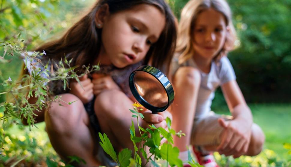 Children's Urban Safari at Winchester Cathedral