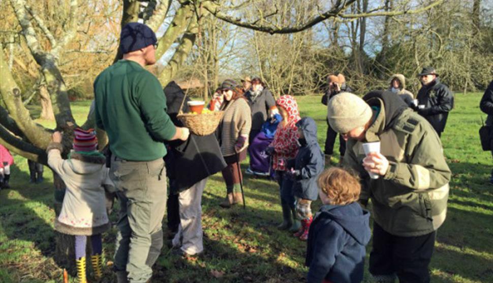 Wassailing at The Vyne