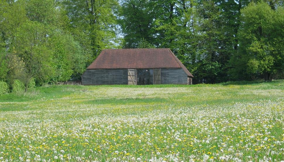 Wellbeing Workshop for Teachers at Gilbert White's House and Gardens