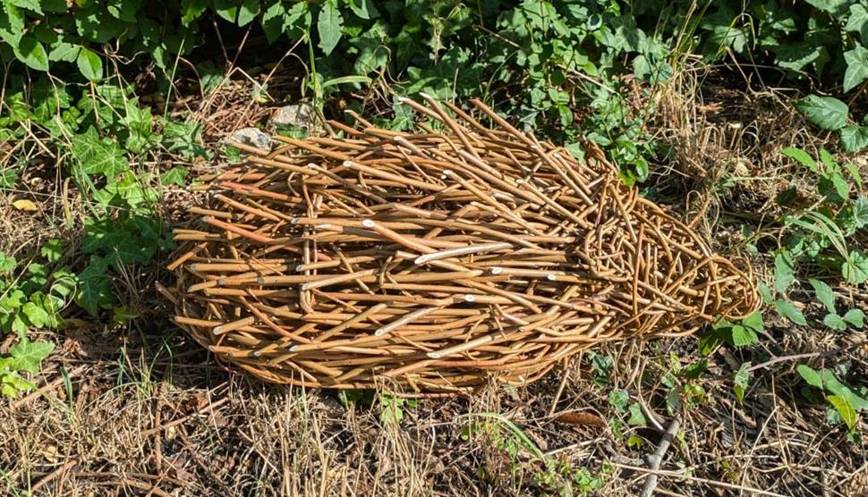 Willow hedgehog sculpture next to bushes