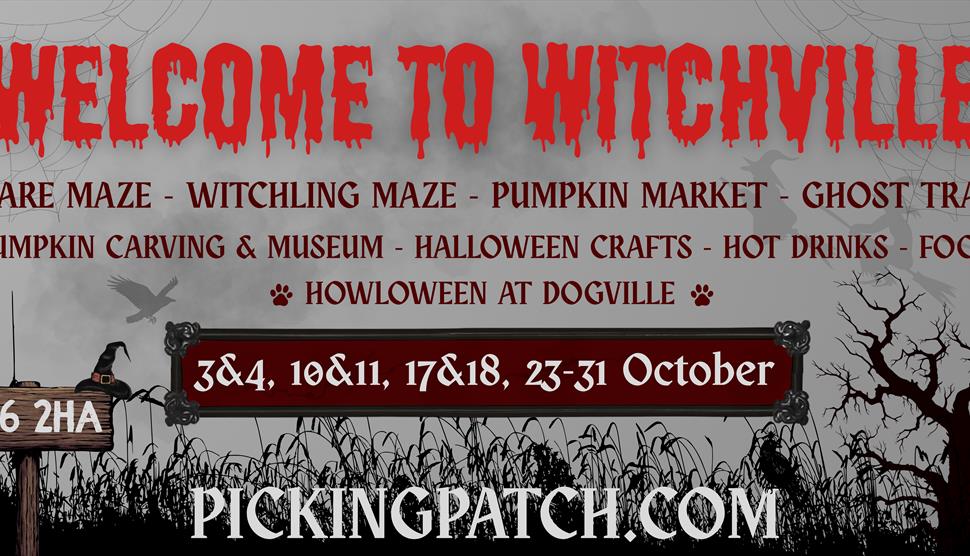 Witchville at Picking Patch