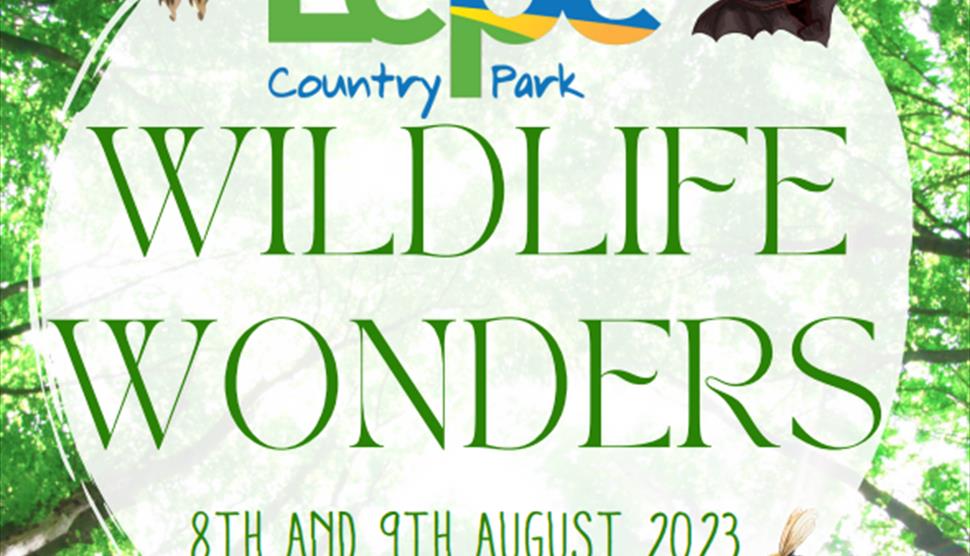 Wildlife Wonders at Lepe Country Park