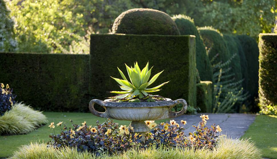 Spring guided walk at Hinton Ampner