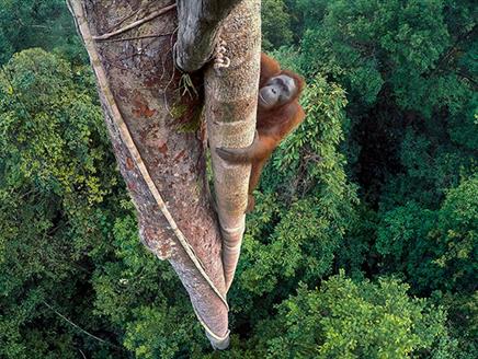 Wildlife Photographer of The Year Exhibition