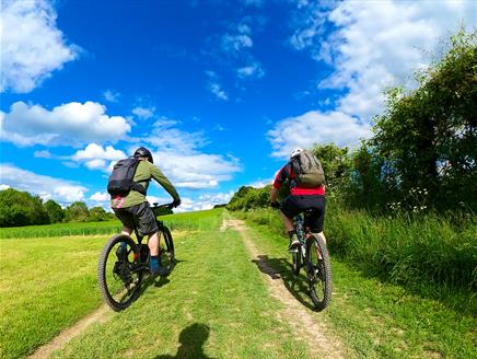 South Downs Epic E-bike Adventure with New Forest Cycling Tours