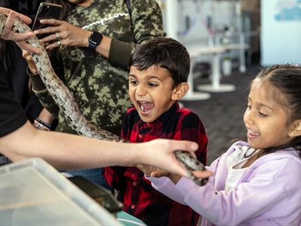 Science Explained: Not So Creepy Critters at Winchester Science Centre & Planetarium