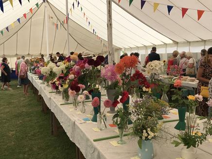 Damerham Fair and Horticultural Show