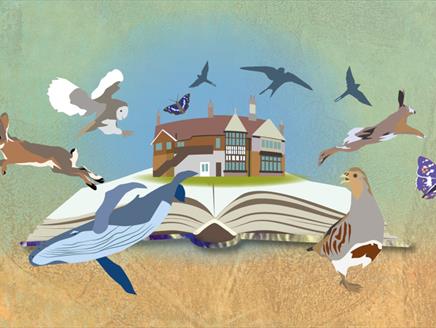 Watching Narrowly: a Natural History Book Day in Selborne