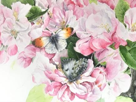 Botanical Art Class at Gilbert Whites House