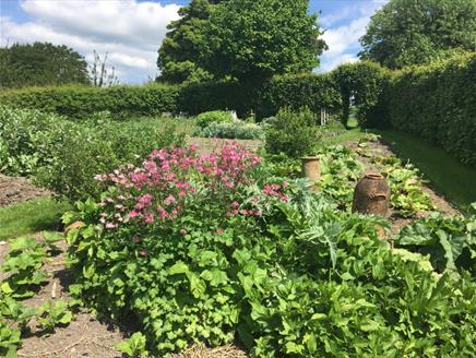 Spring Kitchen Garden Course at Gilbert Whites House